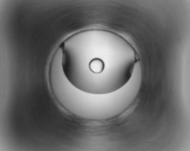 X0000088081438200706081721