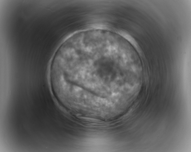 X0000088081439200706081721