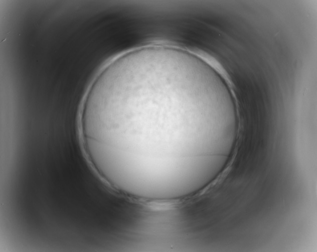 X0000088081440200706081721