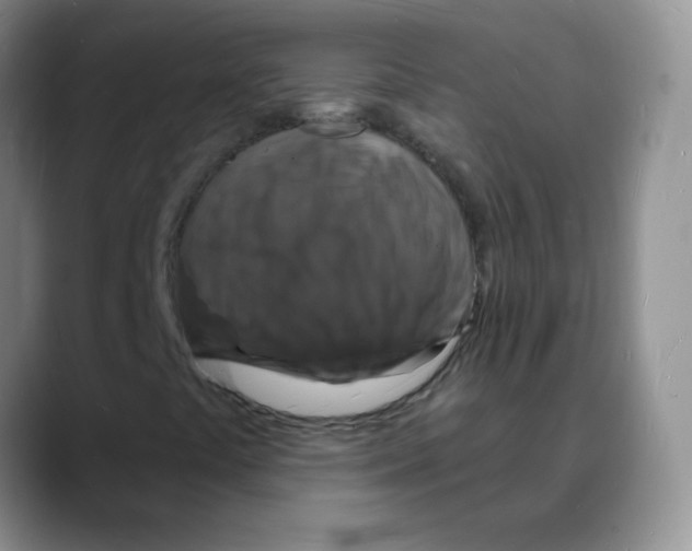 X0000088081441200706081720