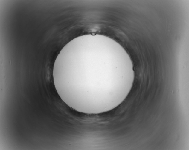 X0000088081442200706081720