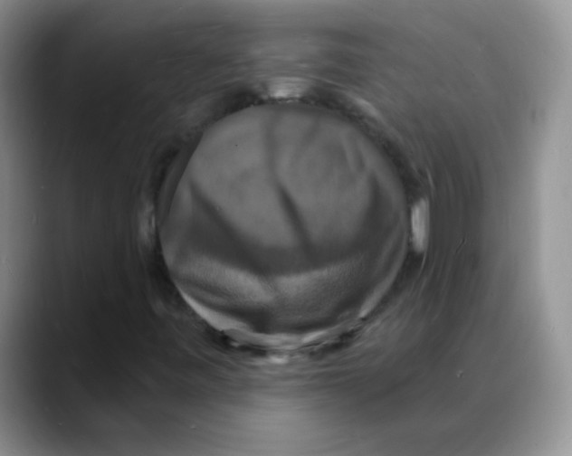 X0000088081443200706081720