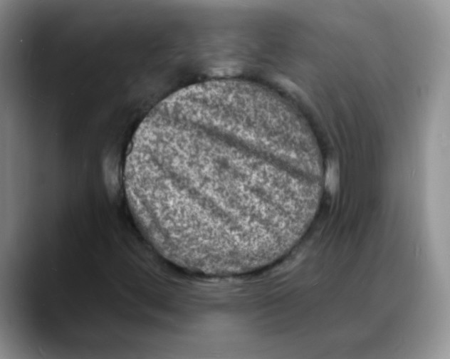 X0000088081444200706081720
