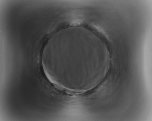 X0000088081445200706081720