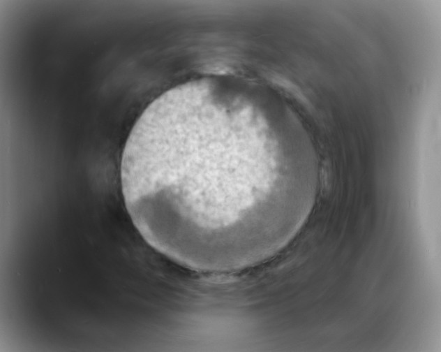 X0000088081446200706081720