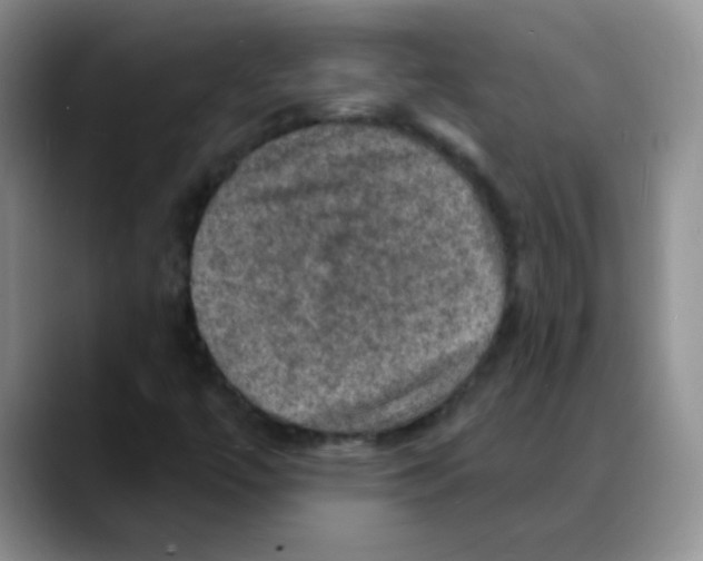 X0000088081447200706081720