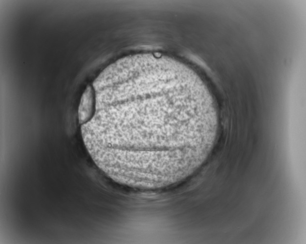 X0000088081448200706081720
