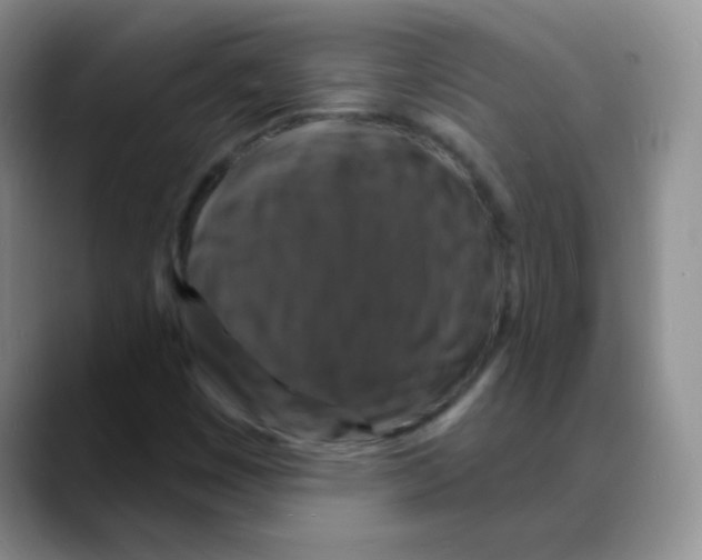 X0000088081449200706081720