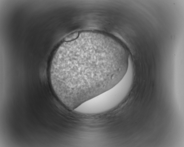 X0000088081452200706081720