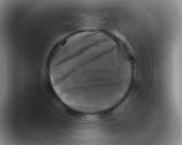 X0000088081453200706081720