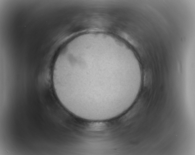 X0000088081454200706081720