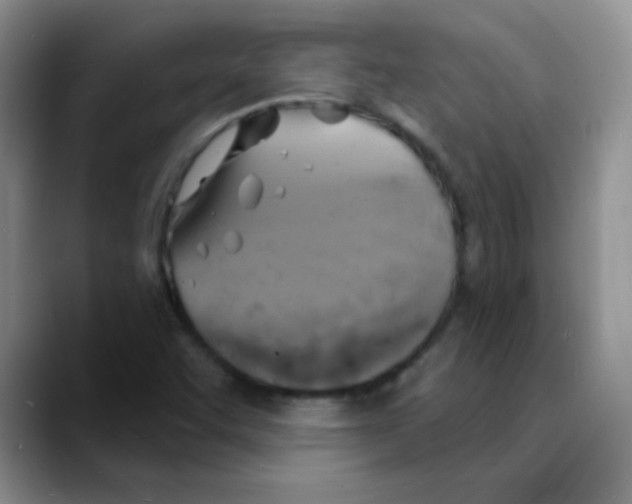 X0000088081455200706081720