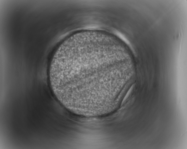 X0000088081456200706081720