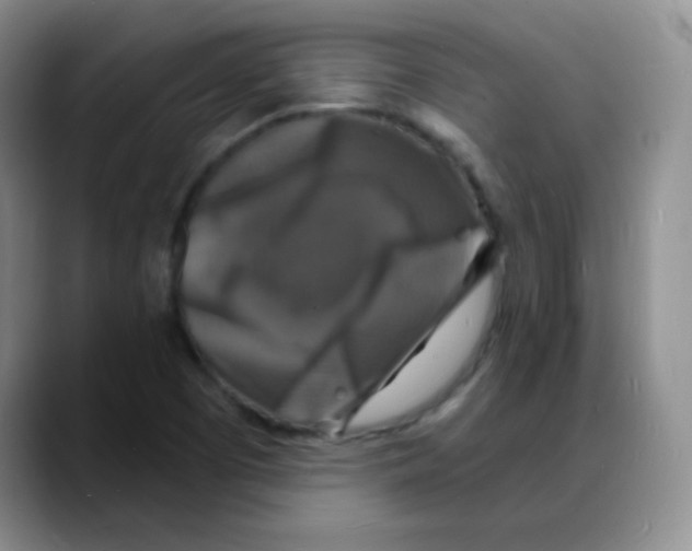 X0000088081457200706081720