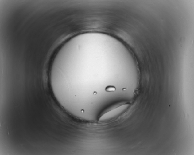 X0000088081458200706081720