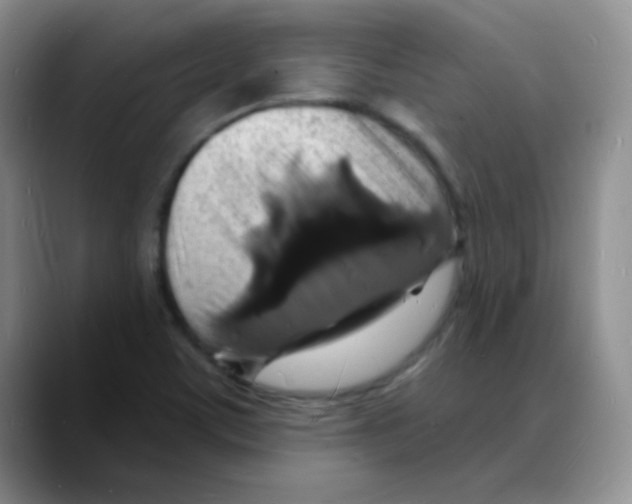 X0000088081459200706081720