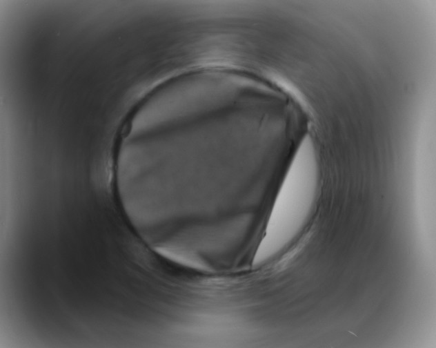 X0000088081461200706081720