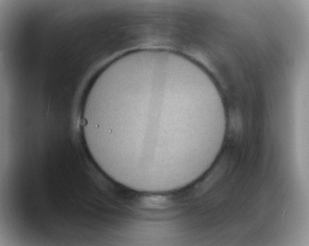 X0000088081462200706081720