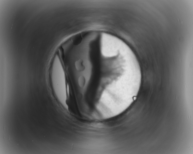 X0000088081463200706081720