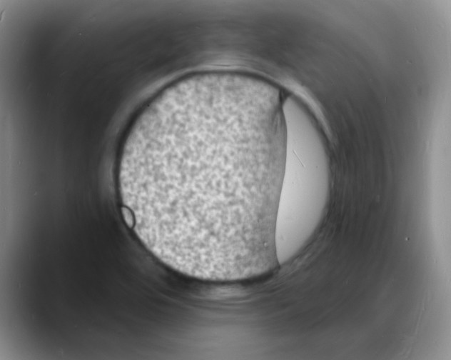 X0000088081464200706081720