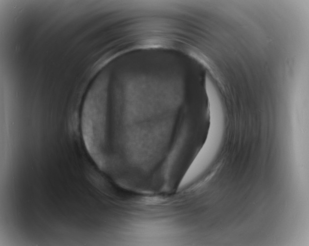 X0000088081465200706081720