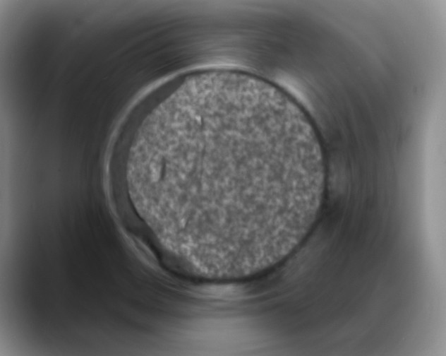 X0000088081468200706081720