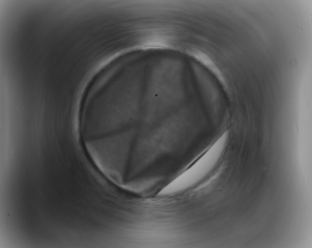 X0000088081469200706081720