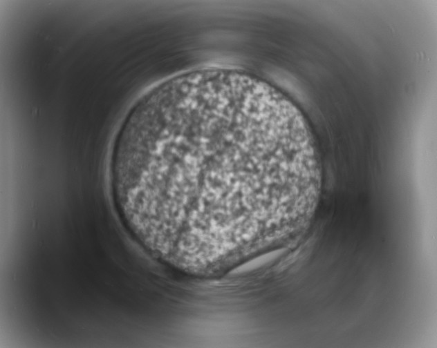X0000088081471200706081720