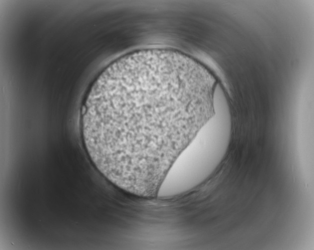 X0000088081472200706081720