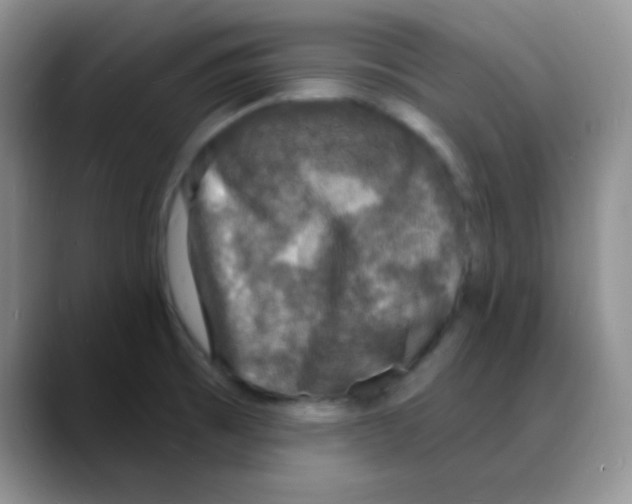 X0000088081473200706081720