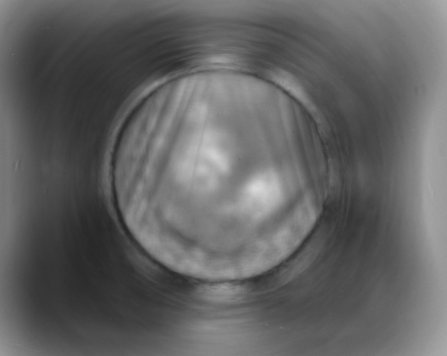 X0000088081474200706081720