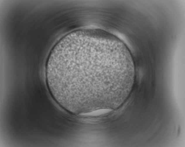 X0000088081476200706081720