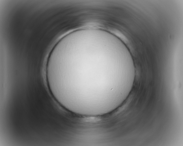 X0000088081478200706081720