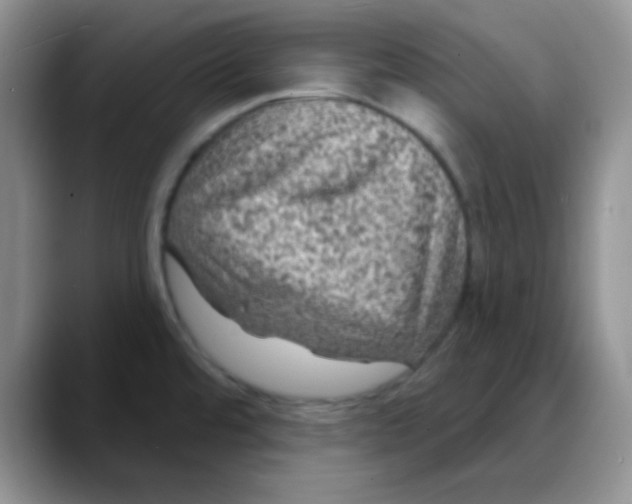 X0000088081480200706081719