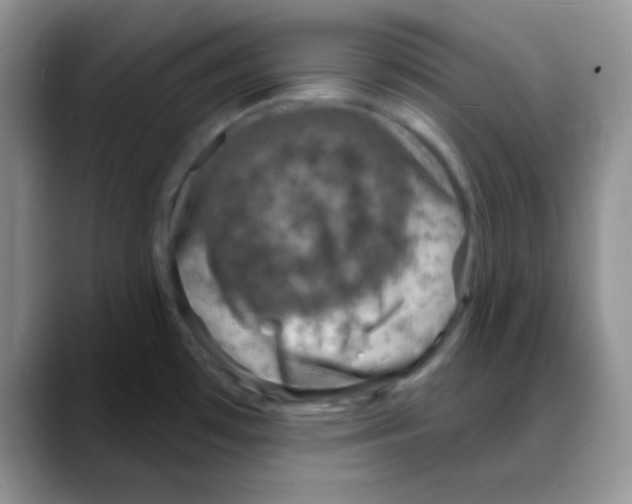 X0000088081481200706081719