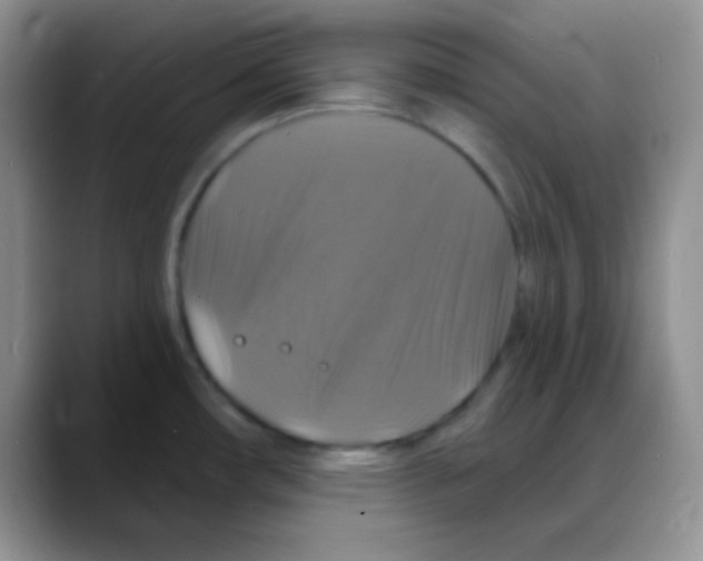 X0000088081482200706081719