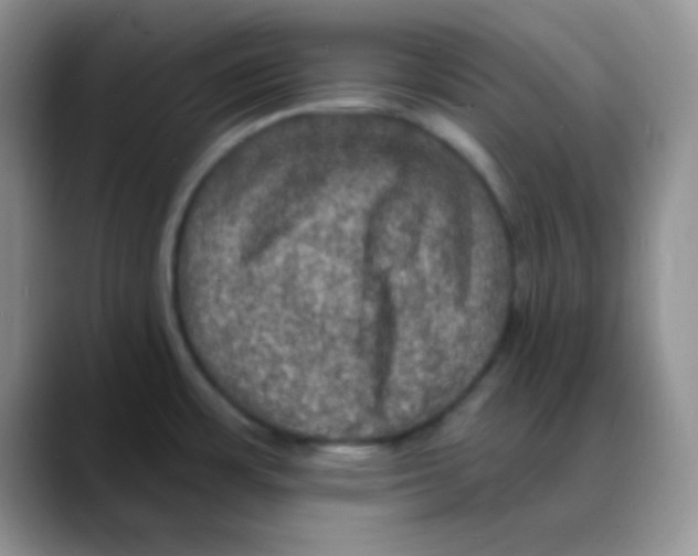 X0000088081483200706081719