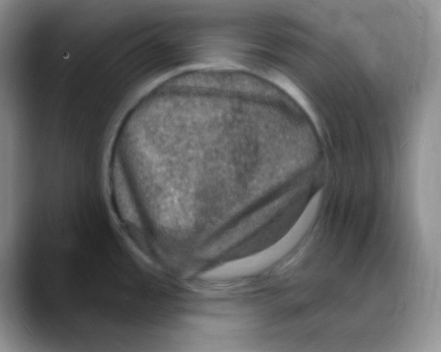 X0000088081485200706081719