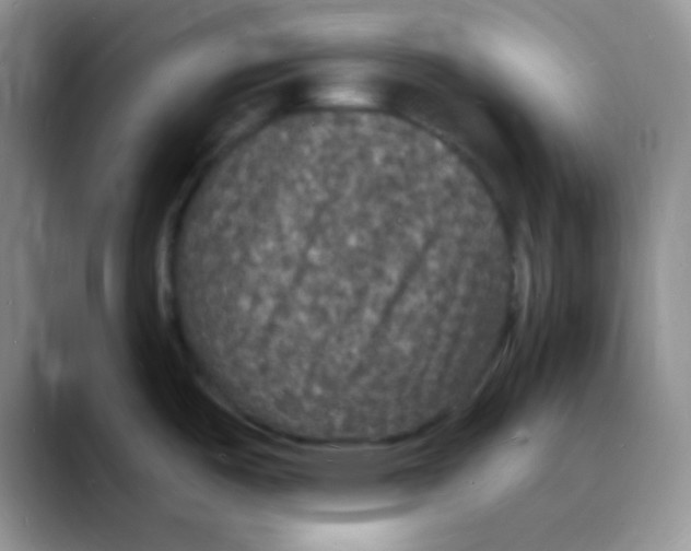 X0000088081487200706081719