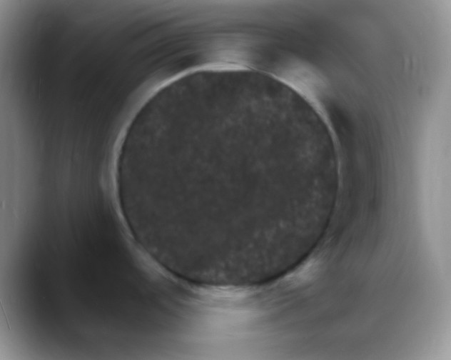 X0000088081488200706081719