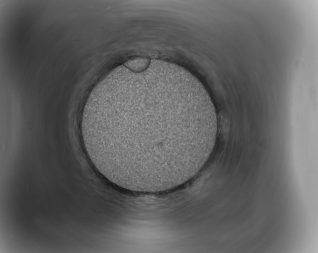 X0000088081489200706081719