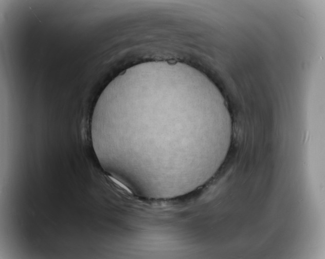 X0000088081490200706081719