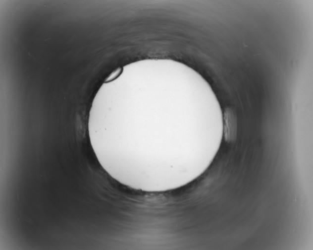 X0000088081491200706081719