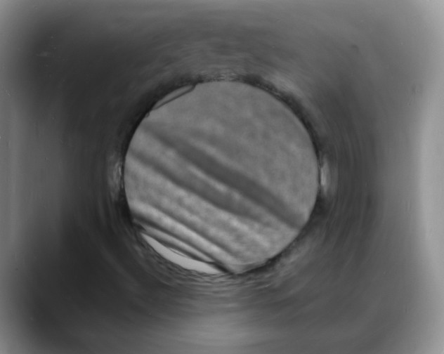 X0000088081492200706081719