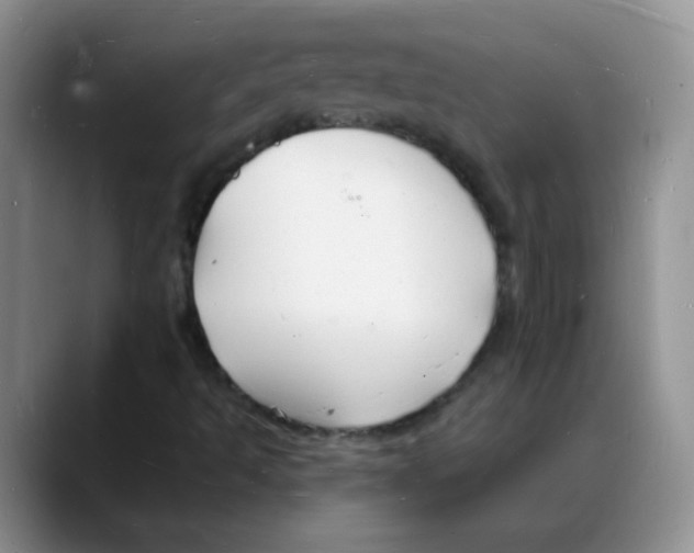 X0000088081493200706081719