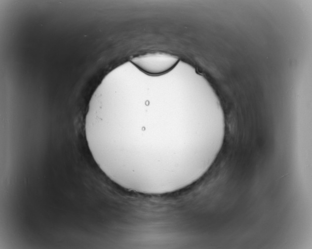 X0000088081495200706081719