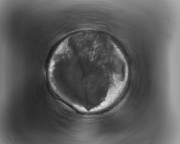 X0000088081497200706081719
