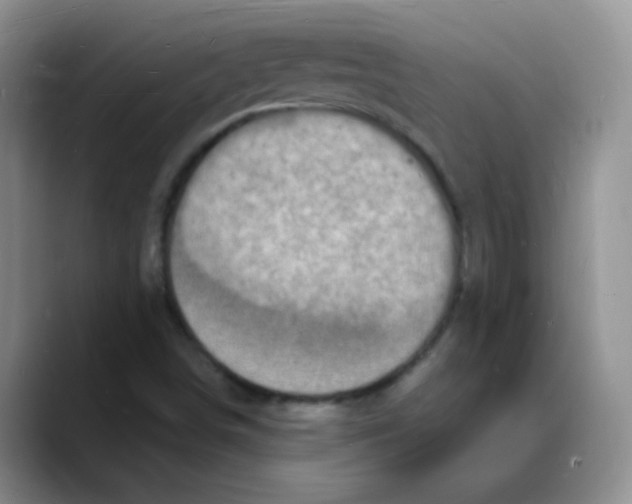 X0000088081498200706081719