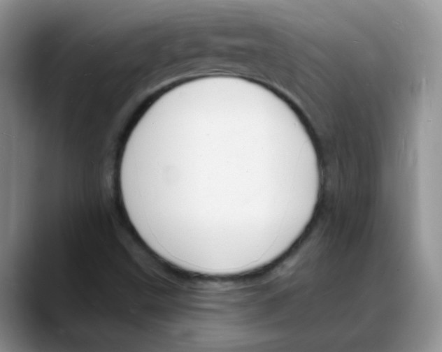 X0000088081499200706081719
