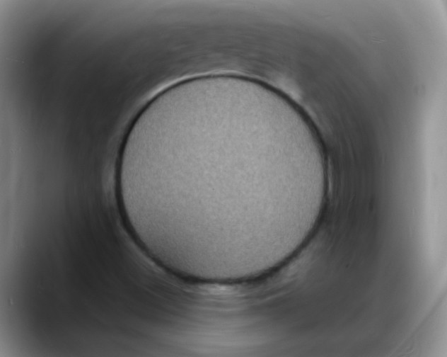 X0000088081500200706081719